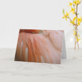 Im Rosa Karte (Gelbe Blume)