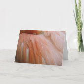 Im Rosa Karte (Vorderseite)