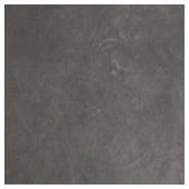 Im Schatten der Eleganz: Ein schwarzer Schwan. Stoff (Muster)