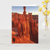 Im Schatten Giants Karte (Gelbe Blume)