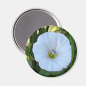 im Schatten Magnet (Vorderseite/Rückseite)