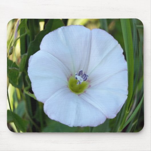 im Schatten Mousepad (Vorne)