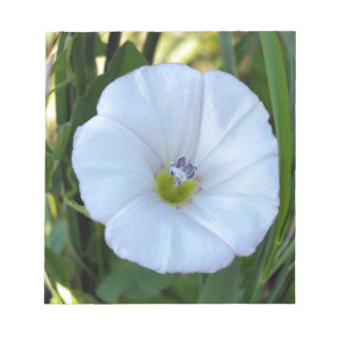 im Schatten Notizblock