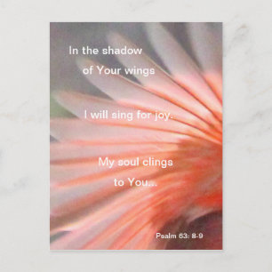 Im Schatten seiner Flügel Postkarte