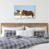 Im Schnee Stehende Miniaturpferde Leinwanddruck (Insitu (Schlafzimmer))
