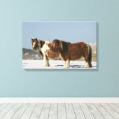 Im Schnee Stehende Miniaturpferde Leinwanddruck (Insitu (Holzboden))