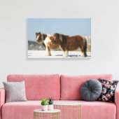 Im Schnee Stehende Miniaturpferde Leinwanddruck (Insitu (Wohnzimmer))