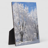 im Schnee, weiße Bäume im Winter Fotoplatte (Seite)