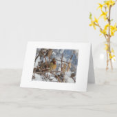 Im Schneebaum Fütternd Kardinal Karte (Gelbe Blume)