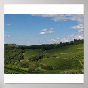 im Schwarzwald Poster