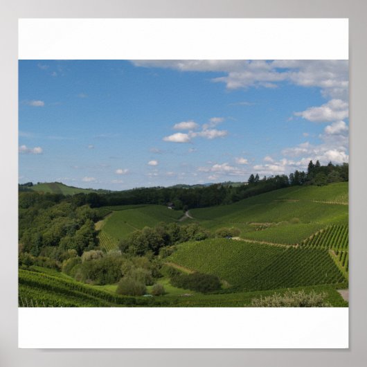 im Schwarzwald Poster (Vorne)