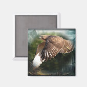 Im Sky Magnet (Vorderseite/Rückseite)