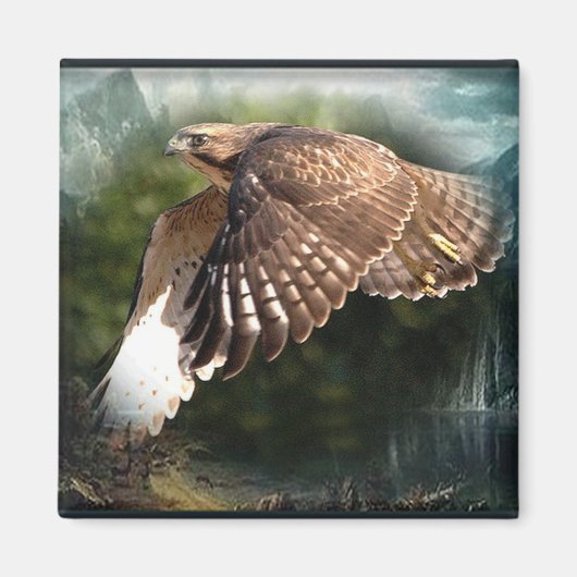 Im Sky Magnet (Vorne)