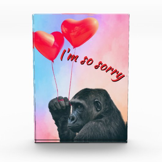 "I'm so sorry" Fotoblock (Vorderseite)