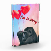 "I'm so sorry" Fotoblock (Links)