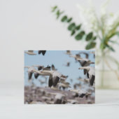 Im Socorro-Himmel explodieren Postkarte (Stehend Vorderseite)