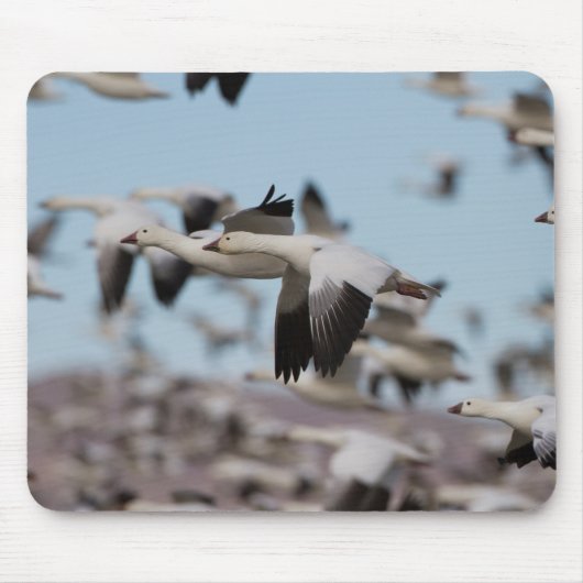 Im Socorrohimmel explodieren Mousepad (Vorne)