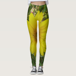 im Sommer eine Sonnenblume im Garten Leggings