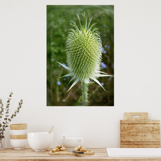 Im Sommer ist es warm Poster (Küche)