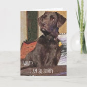 I'm Sorry Shocked Chocolate Lab Belated Birthday Karte (Vorderseite)
