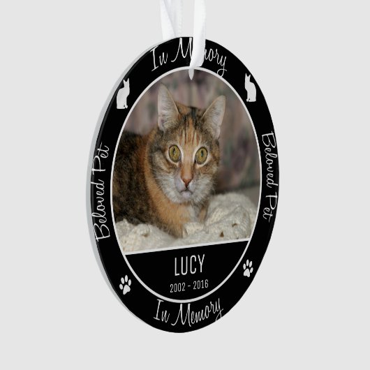 Im Speicher - Verlust von CAT - Benutzerdefinierte Ornament (Vorderseite)