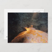 Im Spotlight gefangen Postkarte (Vorne/Hinten)