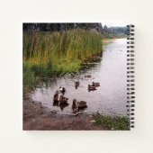 Im Sumpf.... Notizblock (Rückseite)