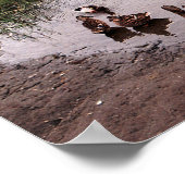 Im Sumpf.... Poster (Ecke)