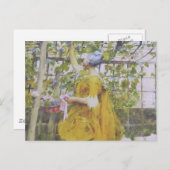 Im Traubenkaror Postkarte (Vorne/Hinten)