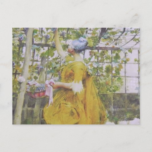 Im Traubenkaror Postkarte (Vorderseite)