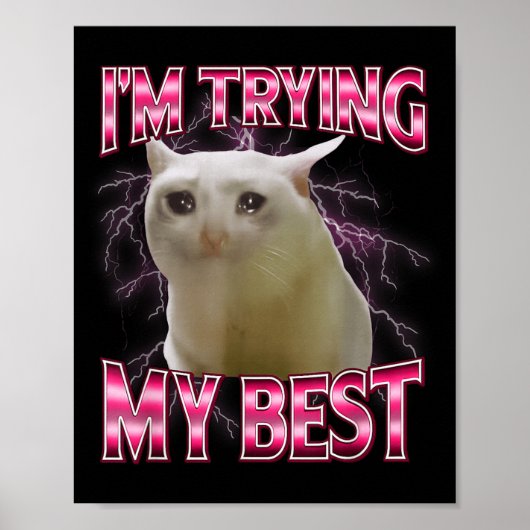 I'm Trying My Silly Crying Cat Meme Funny Cats Ani Poster (Vorne)