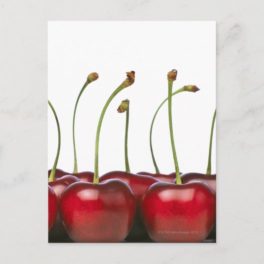 Im Vordergrund der Postkarte (Vorderseite)