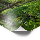 im Wald am Fort, der einen Staat Park Fotodruck (Ecke)