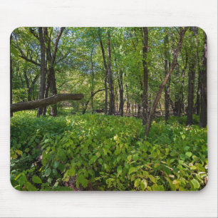 im Wald am Fort, der einen Staat Park Mousepad