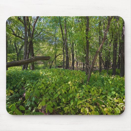 im Wald am Fort, der einen Staat Park Mousepad (Vorne)