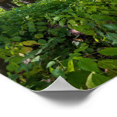 im Wald am Fort, der einen Staat Park Poster (Ecke)