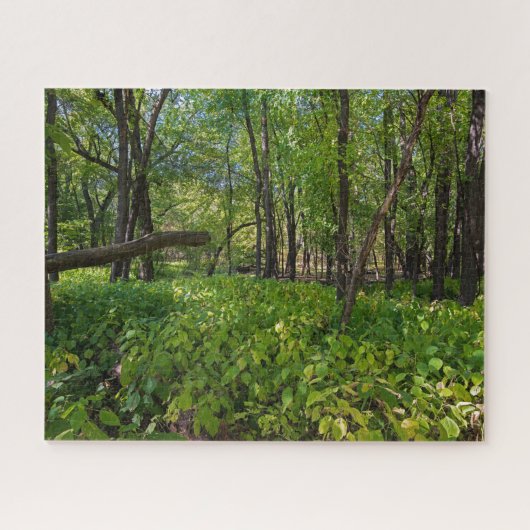 im Wald am Fort, der einen Staat Park Puzzle (Horizontal)