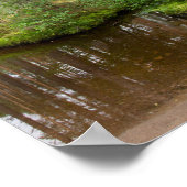 Im Wald nach dem Regen Poster (Ecke)