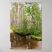 Im Wald nach dem Regen Poster (Vorne)