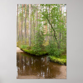 Im Wald nach dem Regen Poster