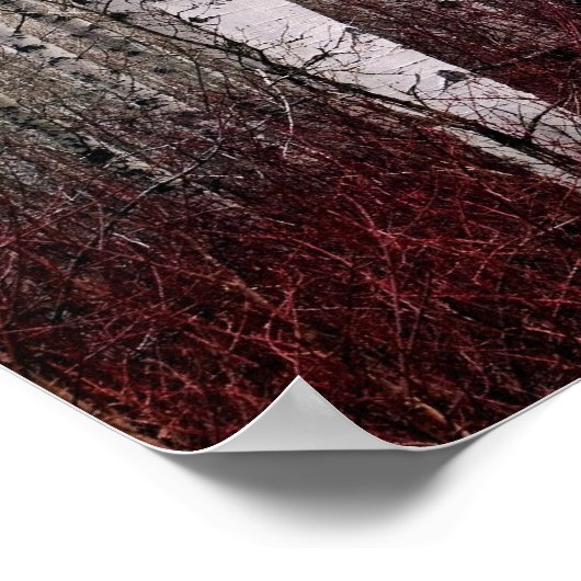 Im Wald. Poster (Ecke)