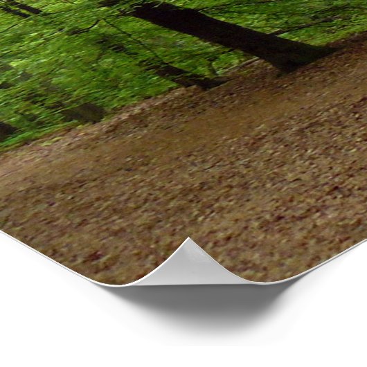 Im Wald Poster (Ecke)