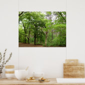 Im Wald Poster (Küche)