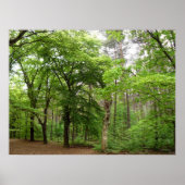 Im Wald Poster (Vorne)