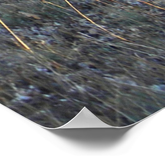 Im Wald.... Poster (Ecke)