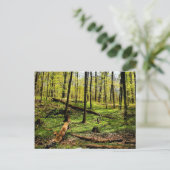 Im Wald Postkarte (Stehend Vorderseite)