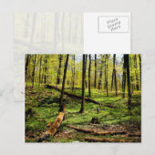 Im Wald Postkarte (Vorne/Hinten)