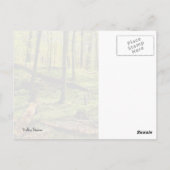Im Wald Postkarte (Rückseite)
