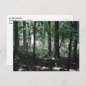 Im Wald Postkarte (Vorne/Hinten)