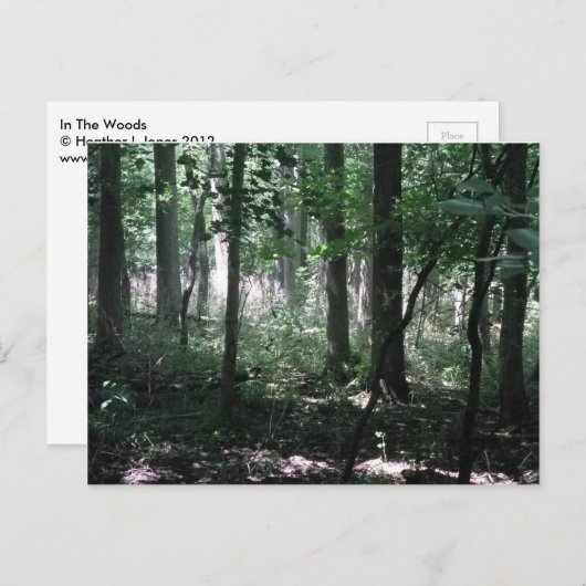 Im Wald Postkarte (Vorne/Hinten)